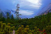 Hinterautal, Tirol, Austria