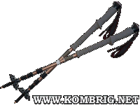 Telescopic trekking poles