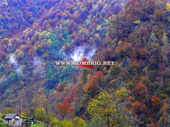 Лесной рельеф Валь Гранде